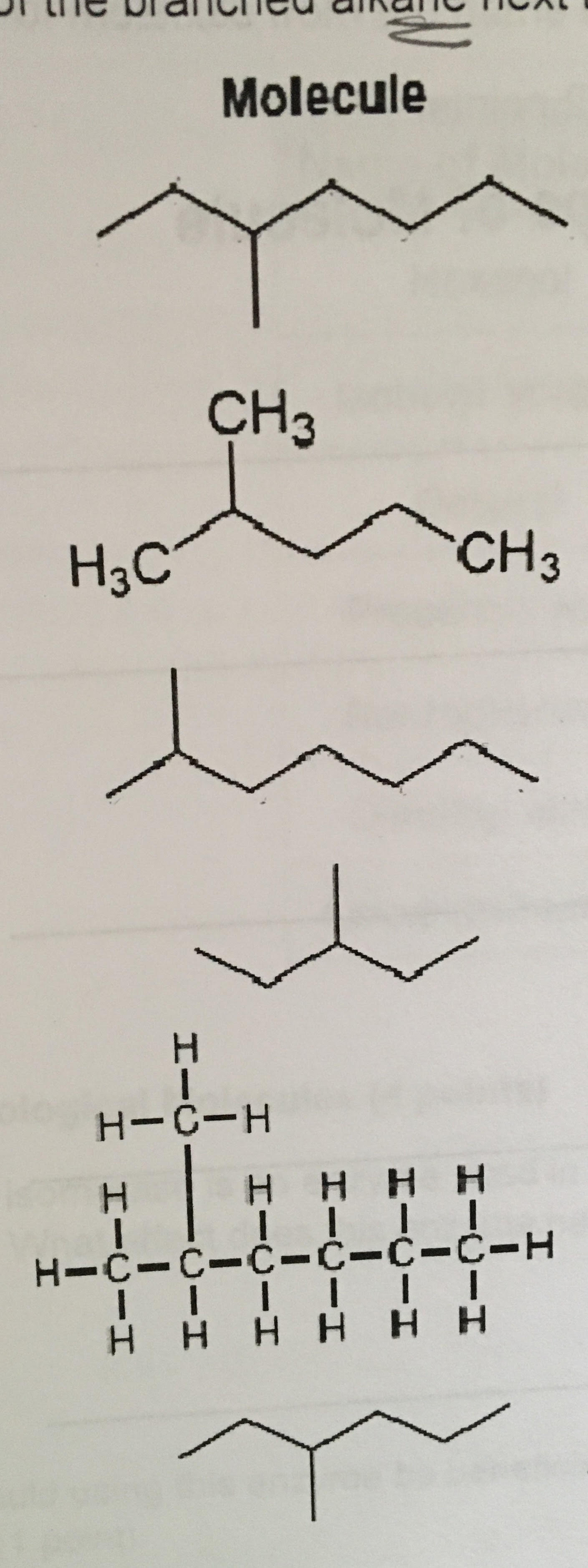 How To Name Branched Chain Alkanes